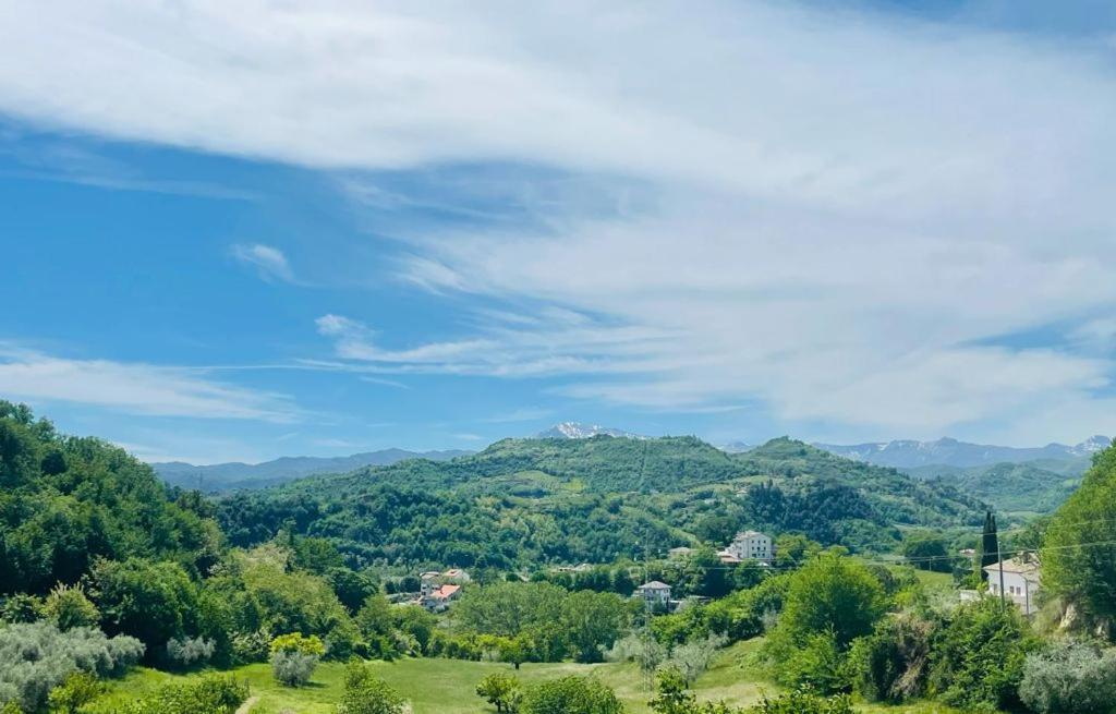 La Collina Su Ascoli Bed and Breakfast Ασκόλι Πιτσένο Εξωτερικό φωτογραφία